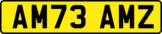 AM73AMZ