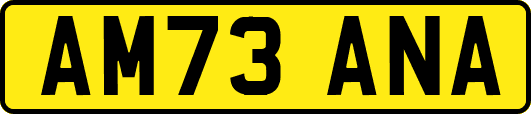 AM73ANA