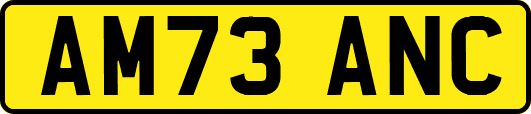 AM73ANC