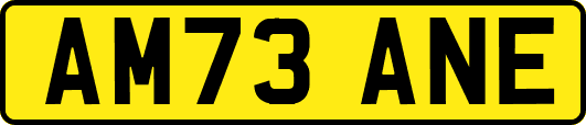 AM73ANE