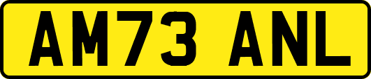 AM73ANL