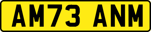 AM73ANM