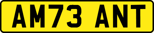 AM73ANT