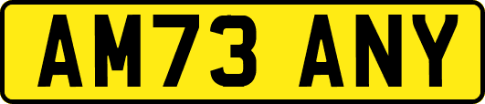 AM73ANY