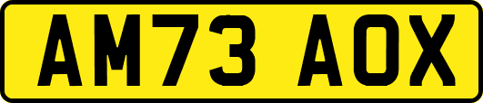 AM73AOX