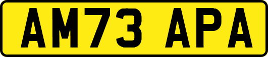 AM73APA