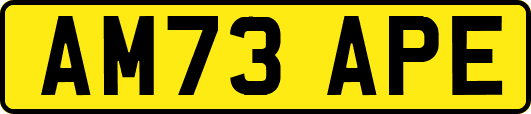 AM73APE