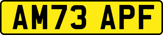 AM73APF