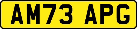 AM73APG