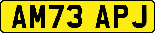 AM73APJ