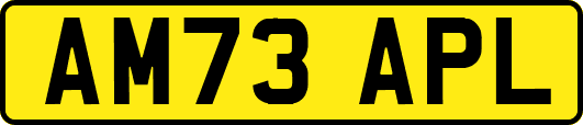 AM73APL