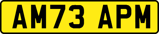 AM73APM