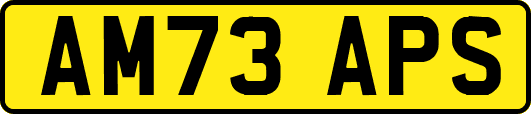 AM73APS