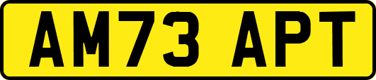 AM73APT