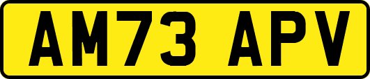 AM73APV