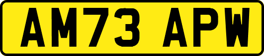 AM73APW