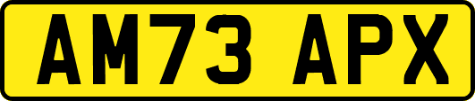 AM73APX