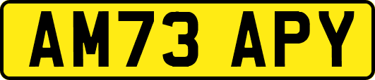 AM73APY