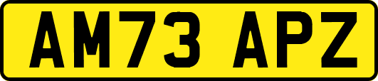 AM73APZ