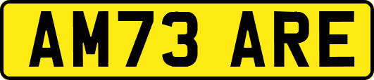 AM73ARE
