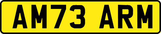 AM73ARM