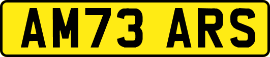 AM73ARS