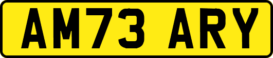 AM73ARY