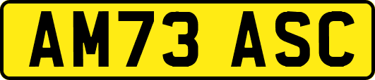 AM73ASC