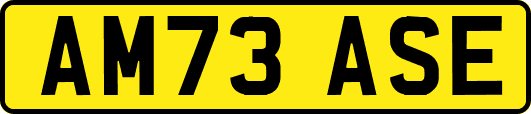 AM73ASE