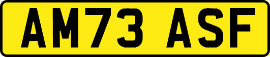 AM73ASF