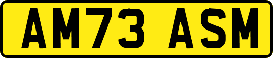 AM73ASM