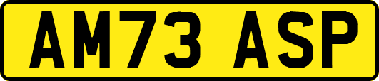 AM73ASP
