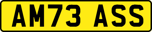 AM73ASS