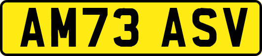 AM73ASV