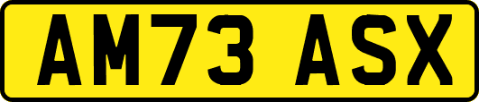 AM73ASX