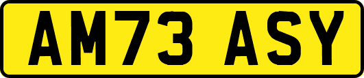 AM73ASY