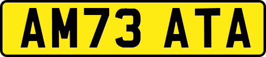 AM73ATA