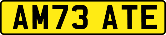 AM73ATE
