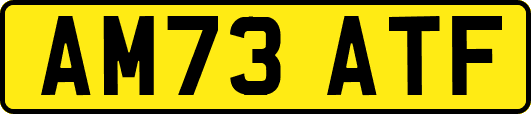 AM73ATF