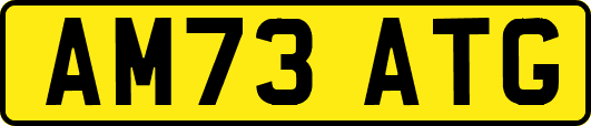 AM73ATG