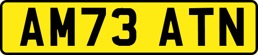 AM73ATN