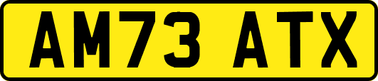 AM73ATX