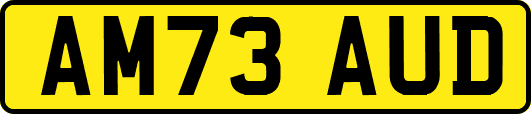 AM73AUD