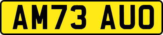 AM73AUO