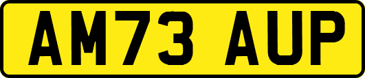 AM73AUP