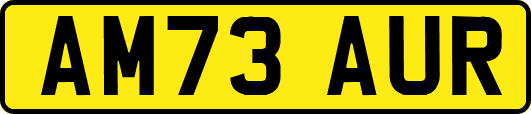 AM73AUR