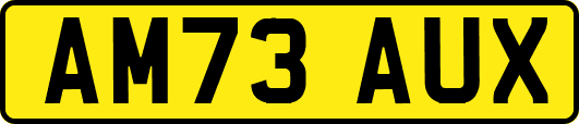 AM73AUX