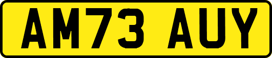 AM73AUY