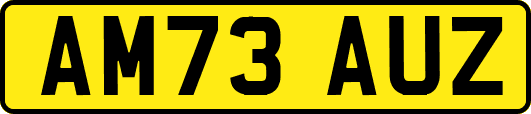 AM73AUZ