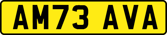 AM73AVA